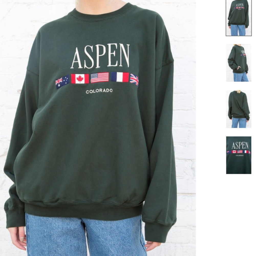 BRANDY MELVILLE ERICA ASPEN COLORADO SWEATSHIRT